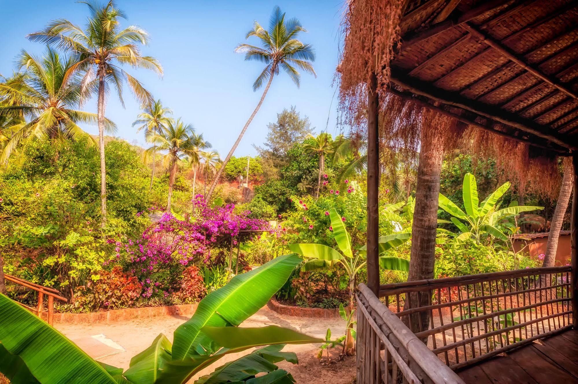 Anahata Retreat Mandrem Dış mekan fotoğraf